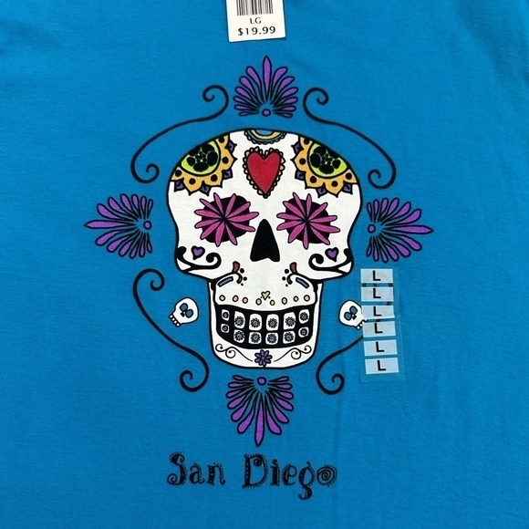 Girls Tee Hazelwood’s DANA SKULLY Print Turquoise Cotton Short Sleeve T-Shirt - Picture 3 of 4